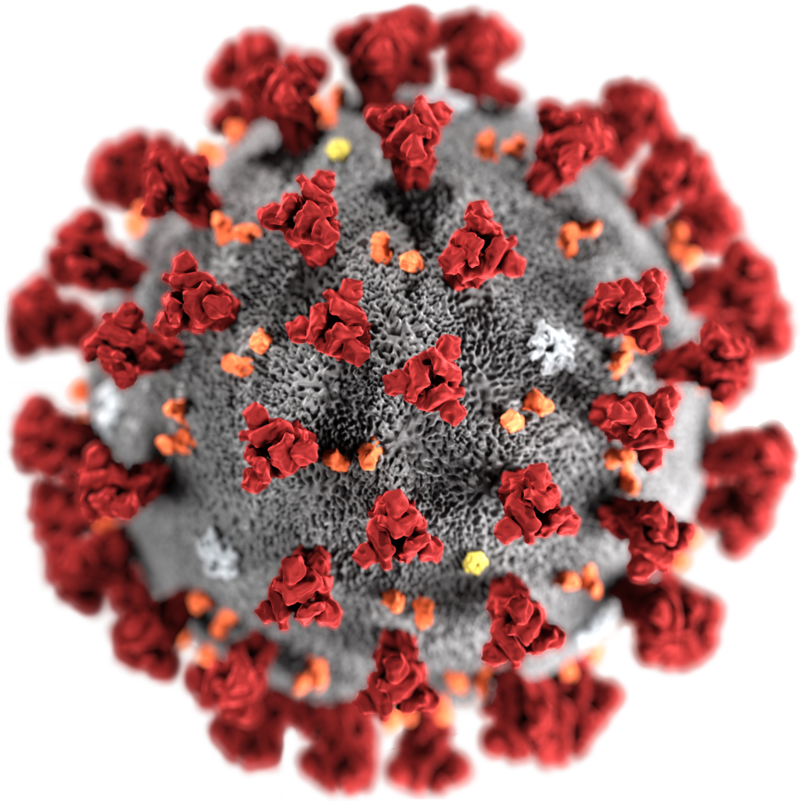 Koronavirus
